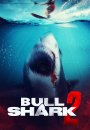 Bull Shark 2