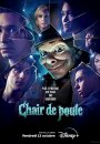 Chair de poule