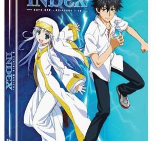 A Certain Magical Index