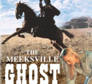 The Meeksville Ghost