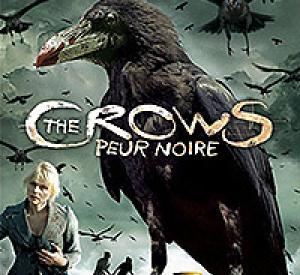 The Crows : Peur noire