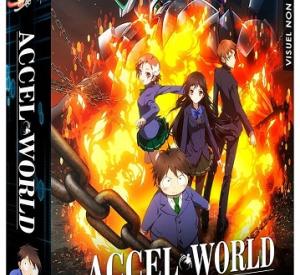 Accel World