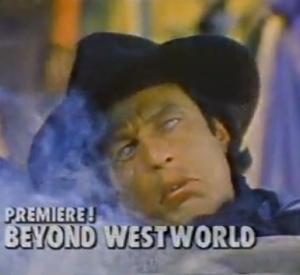 Beyond Westworld