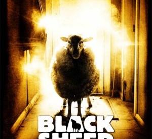 Black Sheep