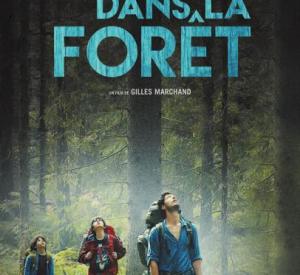 Dans la forêt