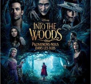 Into the Woods: Promenons-Nous dans les Bois