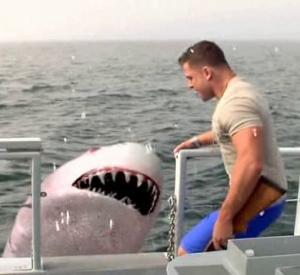 Jersey Shore Shark Attack