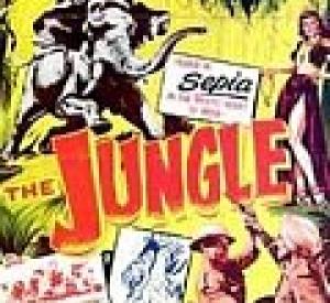 The Jungle