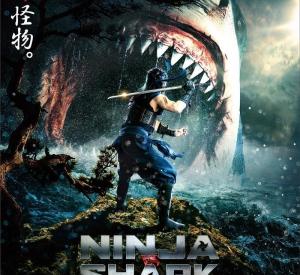 Ninja vs. Shark