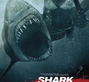 Shark 3D