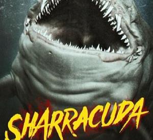 Sharracuda