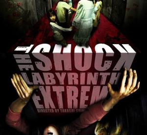 The Shock Labyrinth 3D