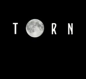 Torn: A Shock Youmentary