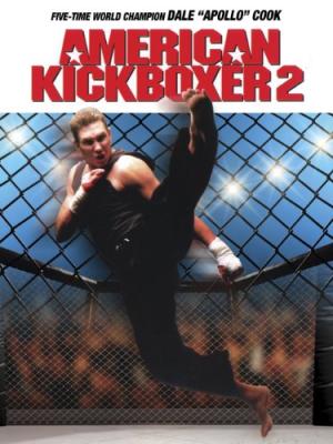 American Kickboxer 2