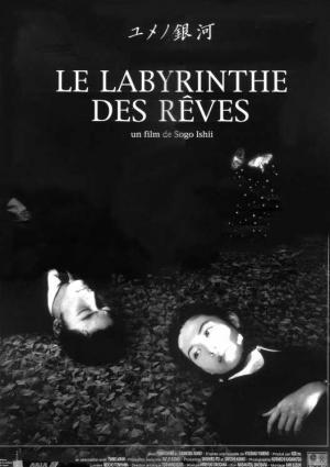 Le Labyrinthe des rêves