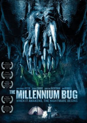 The Millennium Bug