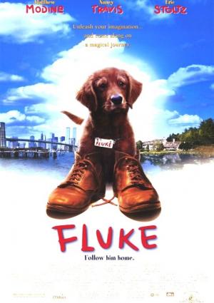 Fluke