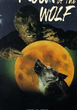 Le  Loup de la Nuit