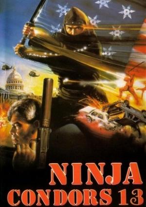 Ninja Condors 13