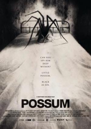 Possum