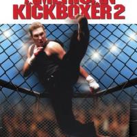 American Kickboxer 2