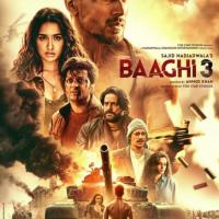 Baaghi 3