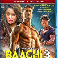 Baaghi 3