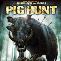 Pig hunt