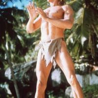 Tarzan l'Homme Singe