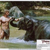 Tarzan l'Homme Singe