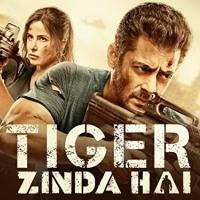 Tiger Zinda Hai