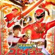 Heavenly Armament Squadron Goseiger