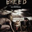 The Breed