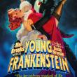 Young Frankenstein : The New Mel Brooks Musical