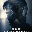 Bad Samaritan