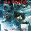 Catnado