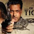 Ek Tha Tiger