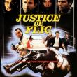 Justice de Flic