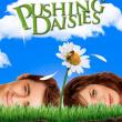 Pushing Daisies