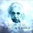 Secrets of Einstein' Brain