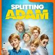 Splitting Adam