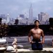 The Last Dragon (Taimak)