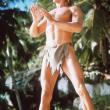 Tarzan l'Homme Singe