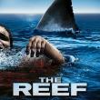 The Reef