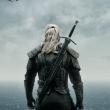 The Witcher