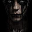 The Crow