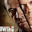 The Following