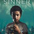 The Sinner