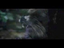 Grizzly Park theatrical trailer