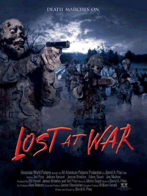 Lost at War